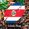 פולי קפה קלוי קוסטה ריקה - COSTA RICA